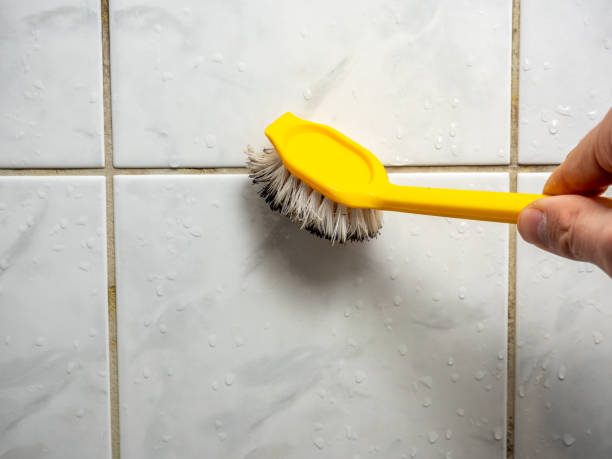 Best Insurance-Related Mold Remediation in Tomball, TX