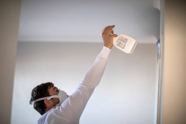 Best Residential Mold Remediation in Tomball, TX