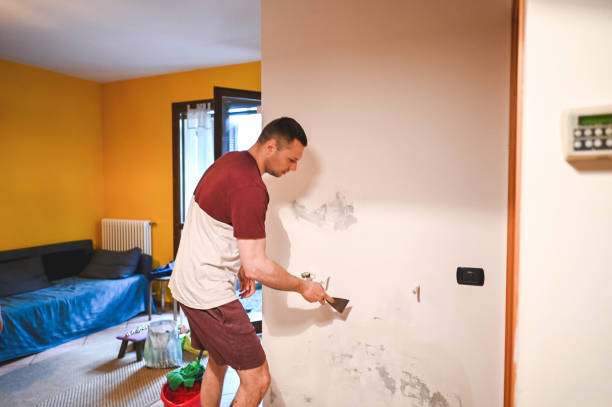 Best DIY Mold Remediation Support Services in Tomball, TX